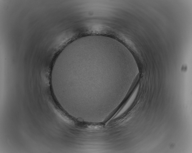 X0000091550450200708171308
