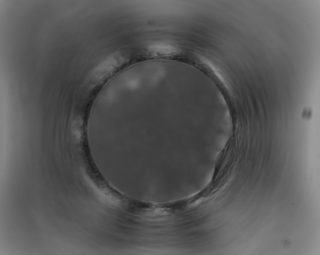 X0000091550451200708171308