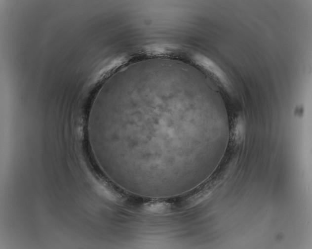 X0000091550452200708171308