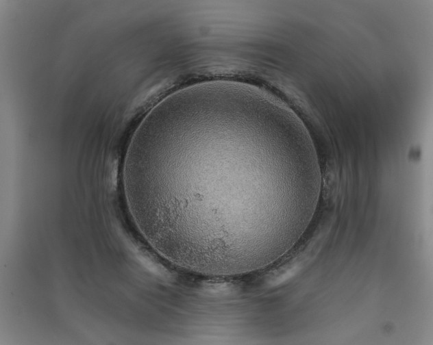 X0000091550454200708171309