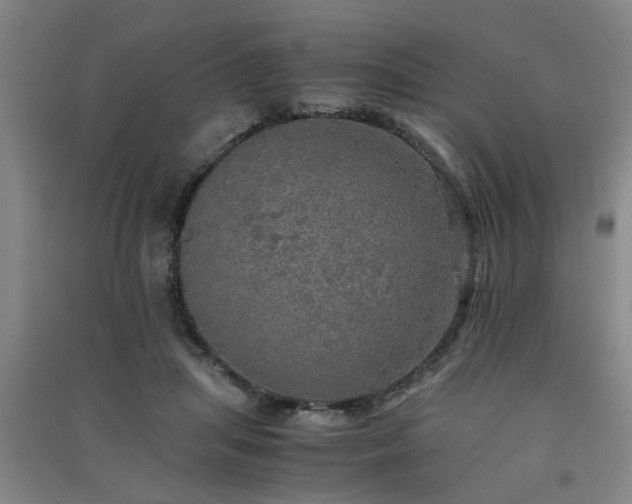 X0000091550455200708171309