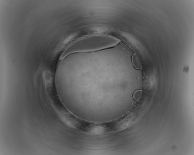 X0000091550456200708171309