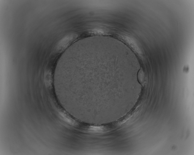 X0000091550457200708171309
