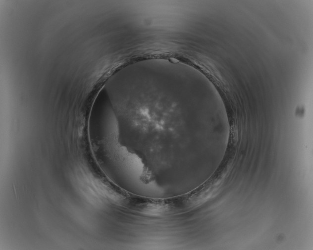 X0000091550458200708171309