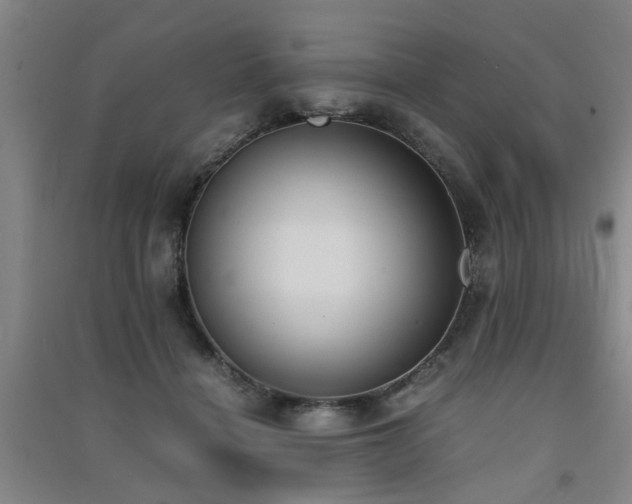 X0000091550460200708171309