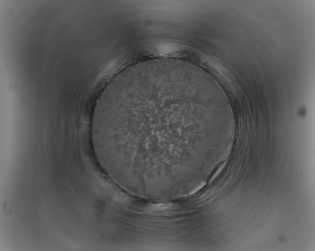 X0000091550461200708171309