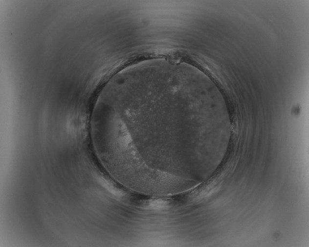 X0000091550462200708171309