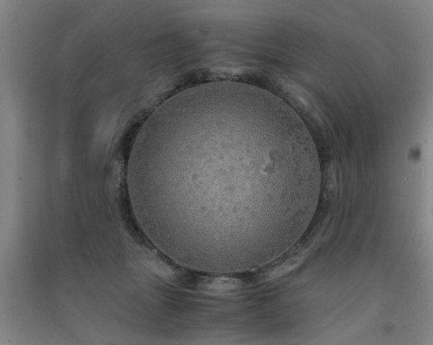 X0000091550463200708171309