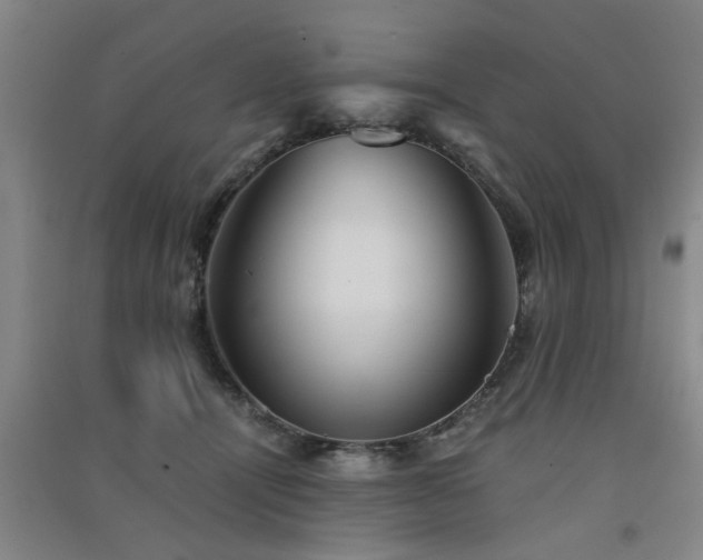 X0000091550464200708171309