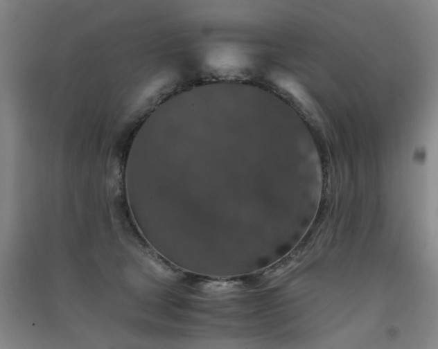 X0000091550465200708171309