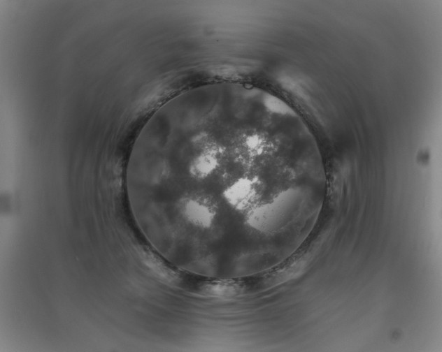 X0000091550466200708171309