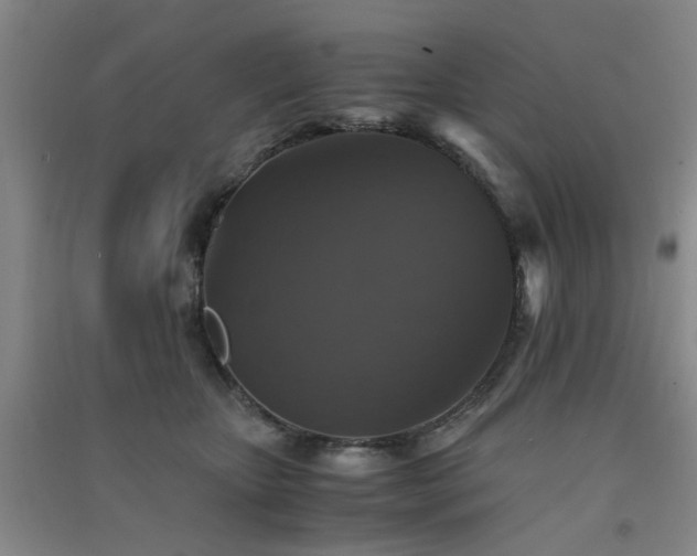 X0000091550467200708171309