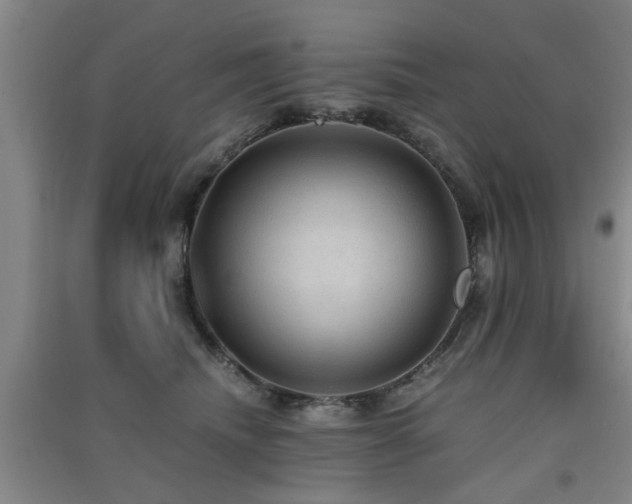 X0000091550468200708171309