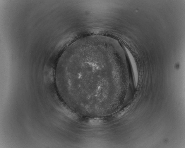 X0000091550470200708171309