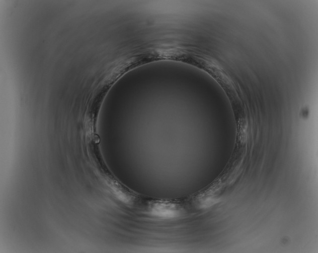 X0000091550471200708171309