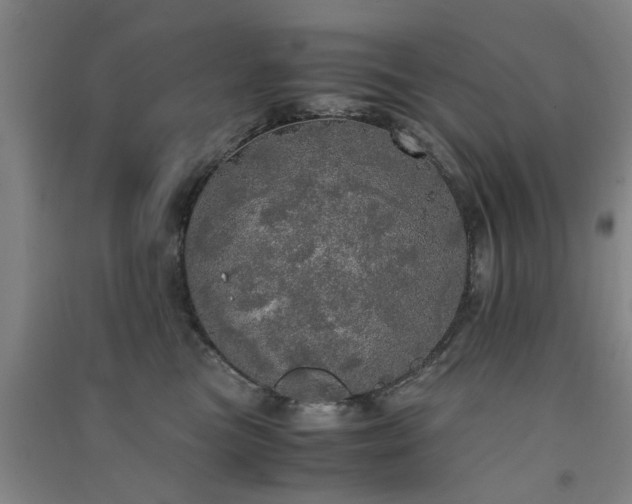 X0000091550473200708171309