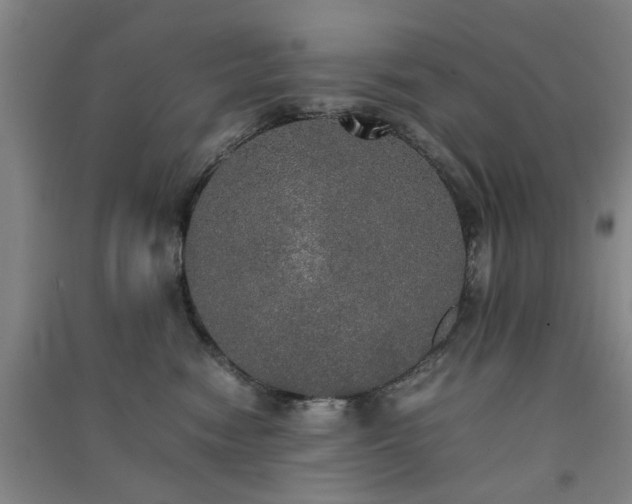 X0000091550474200708171309