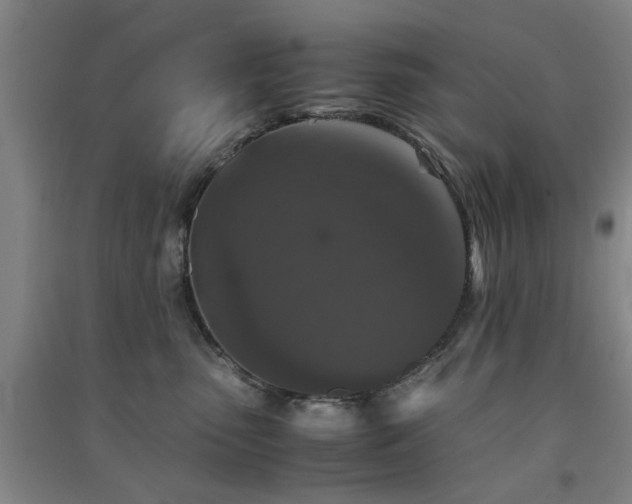 X0000091550475200708171309