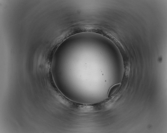 X0000091550476200708171309