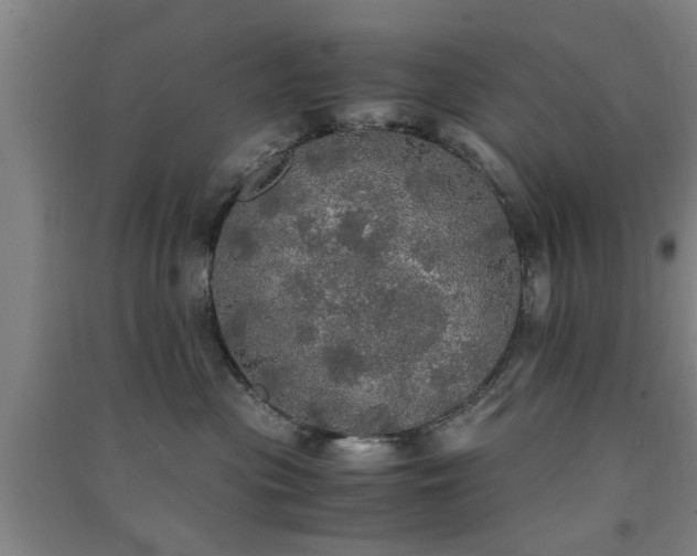X0000091550477200708171309