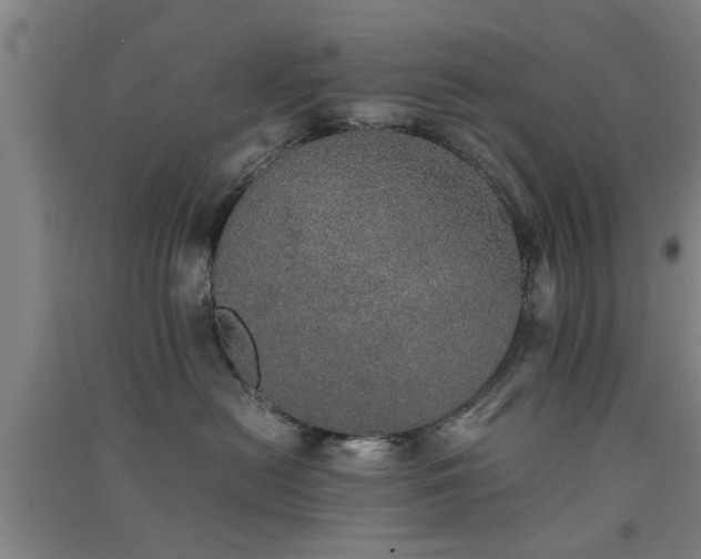 X0000091550478200708171309