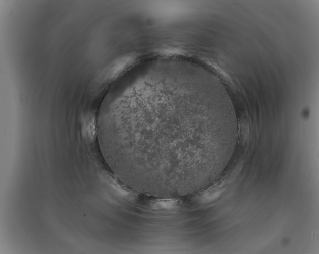 X0000091550479200708171309