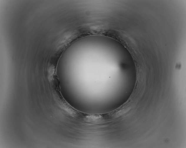 X0000091550480200708171309
