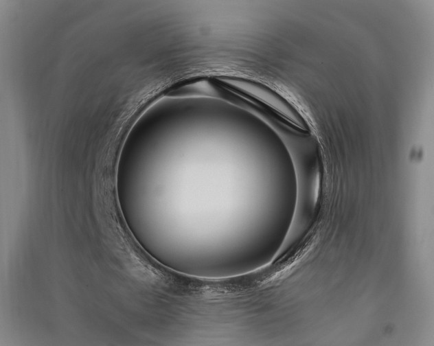 X0000091550481200708171308