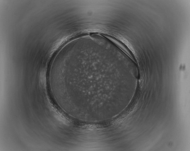 X0000091550482200708171308