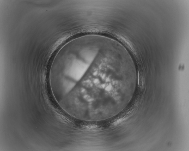 X0000091550483200708171308