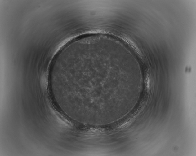 X0000091550484200708171308