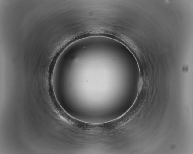 X0000091550485200708171308