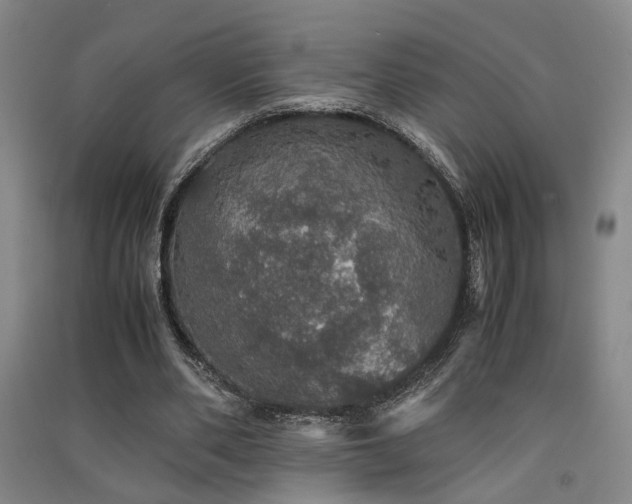 X0000091550486200708171308