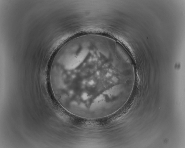 X0000091550487200708171308