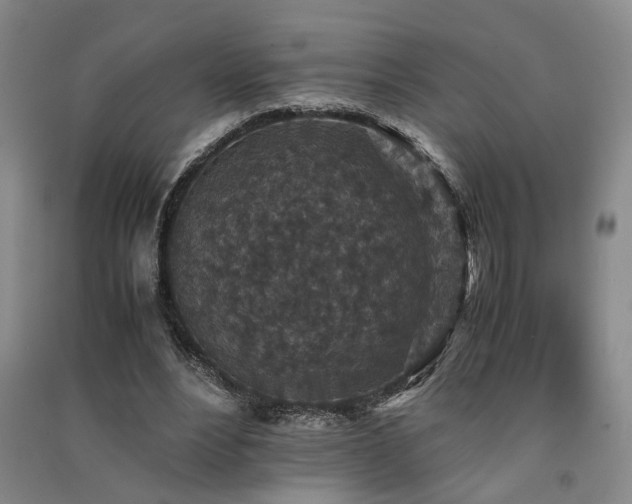 X0000091550488200708171308