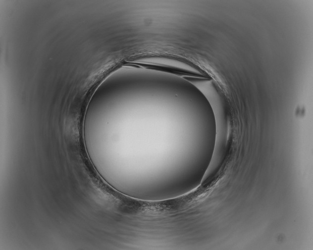 X0000091550489200708171308