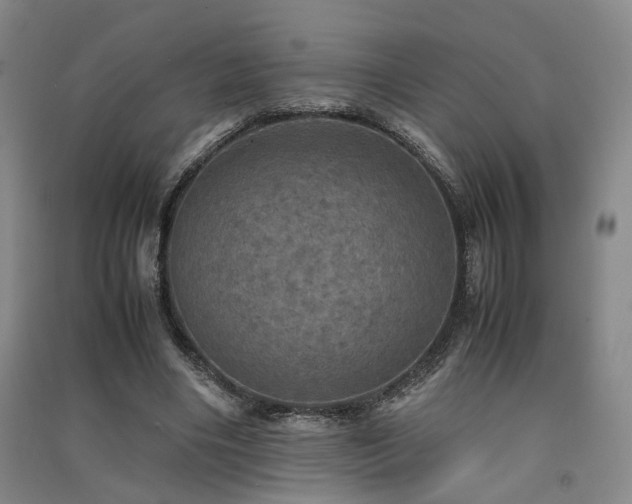 X0000091550490200708171308