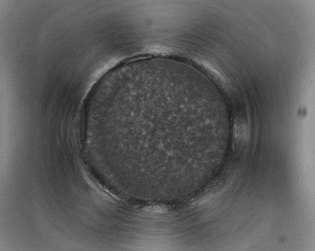 X0000091550492200708171308