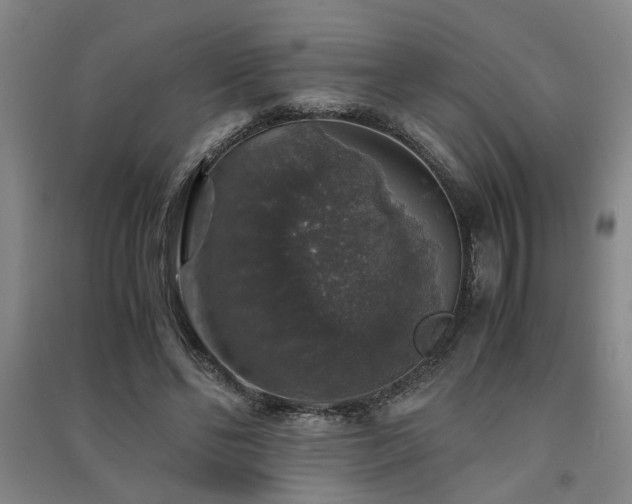 X0000091550494200708171308