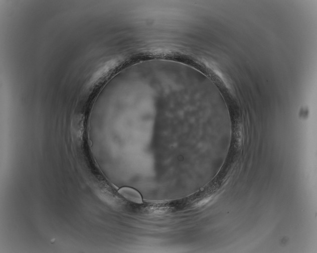 X0000091550495200708171308