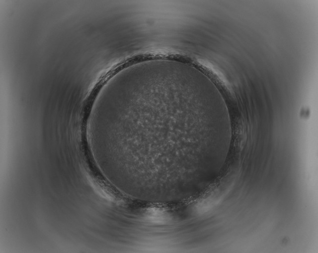 X0000091550496200708171308