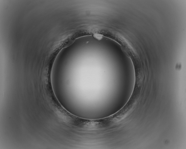 X0000091550497200708171308