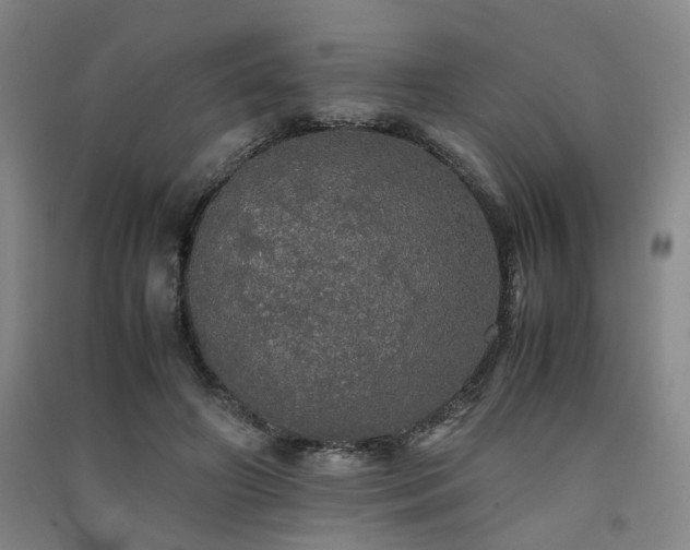 X0000091550498200708171308