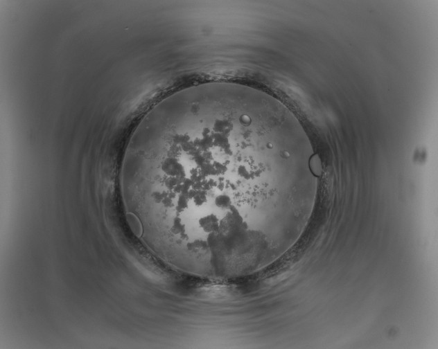 X0000091550499200708171308