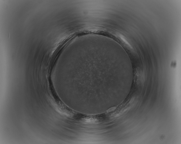 X0000091550500200708171308
