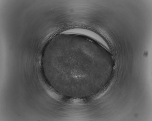 X0000091550501200708171308