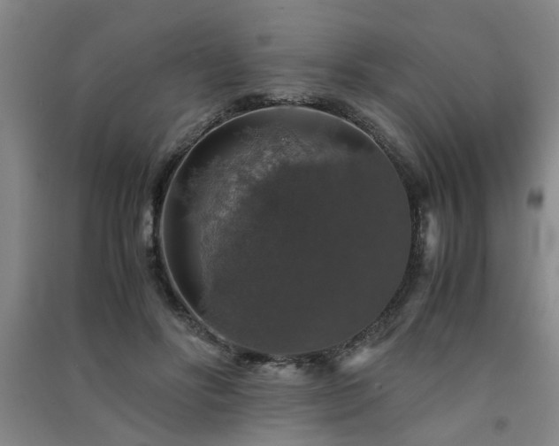 X0000091550502200708171308