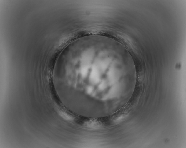 X0000091550503200708171308