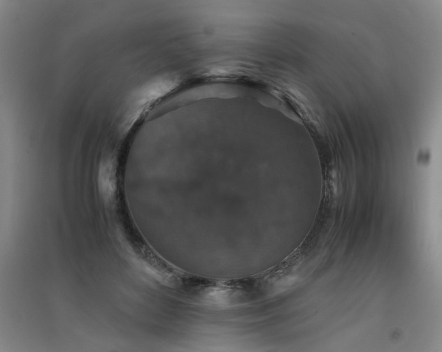 X0000091550504200708171308