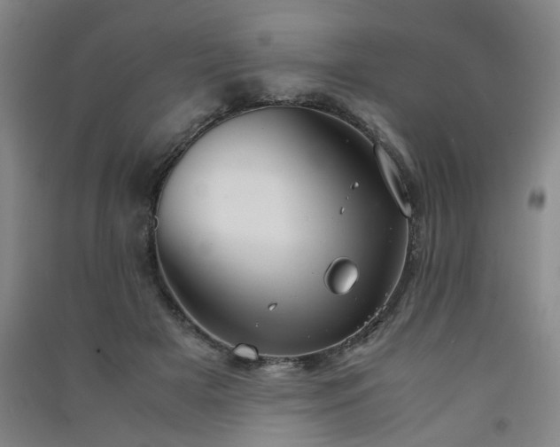 X0000091550505200708171308